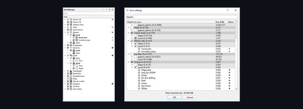 Multi-user project data manager and synchronization