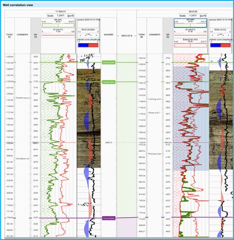 Multi-well log correlation