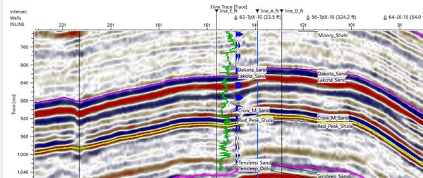 Seismic section with well log, formation tops and interpreted horizons in g-Space