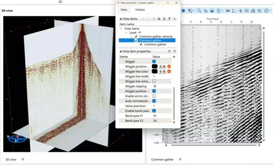 3D pre-stack view