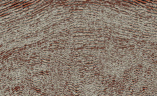 Uzbekistan seismic — before processing