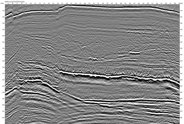 Seismic reflection section before diffraction imaging for fracture detection